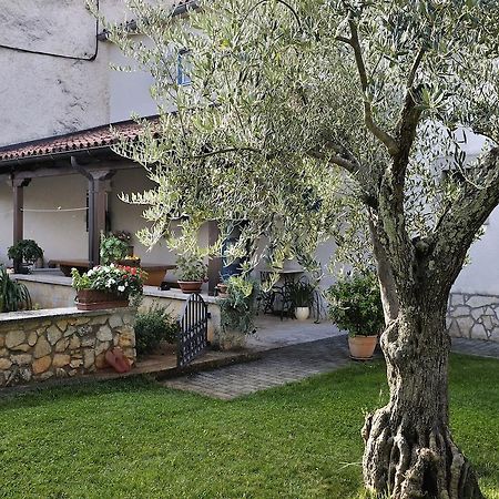 Apartment Vita Porec Esterno foto